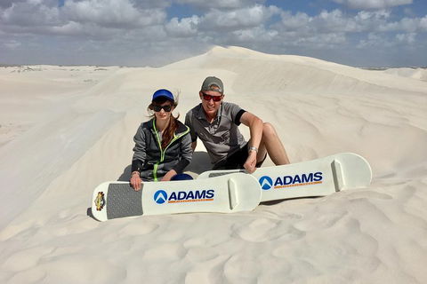 Full Day Pinnacle Desert Explorer From Perth Including Hillarys And Lancelin Sandboarding - Kempsey Accommodation 4