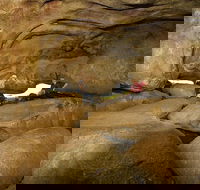 2-Day Wave Rock York Wildflowers  Aboriginal Experience - Kempsey Accommodation