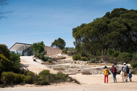 2-Hour Koala Walking Tour In Kangaroo Island - Kempsey Accommodation 3