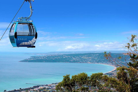 Peninsula Hot Springs Tour With Restaurant Lunch & Gondola Ride - Kempsey Accommodation 1