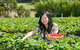 Peninsula Hot Springs Tour With Restaurant Lunch & Gondola Ride - thumb 5