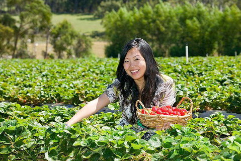 Peninsula Hot Springs Tour With Restaurant Lunch & Gondola Ride - Kempsey Accommodation 5