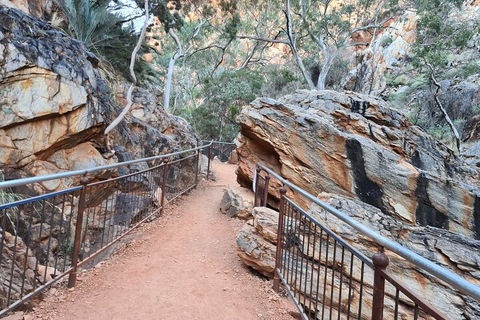 West MacDonnell Ranges Half-Day Private Charter Guided Tour - Kempsey Accommodation 0