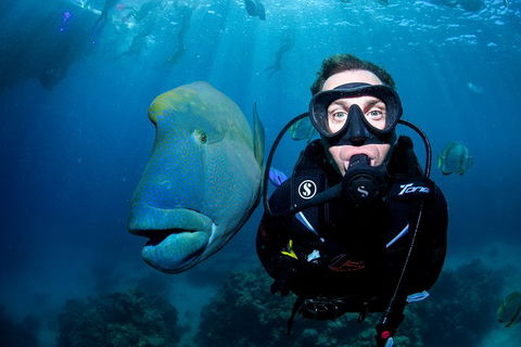 Full Day Reef Cruise Including 10 Minute Heli Scenic Flight: Get High Package - Kempsey Accommodation 1