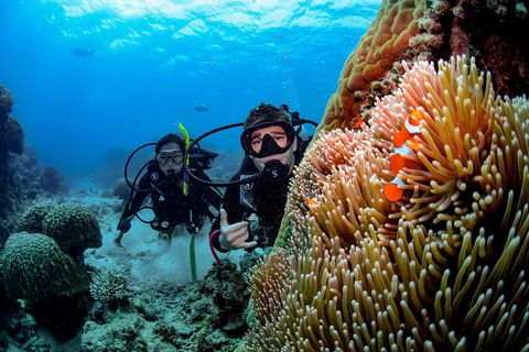 Full Day Reef Cruise Including 10 Minute Heli Scenic Flight: Get High Package - Kempsey Accommodation 5