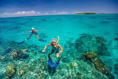 Fly To Green Island - Cruise Return - Kempsey Accommodation 4