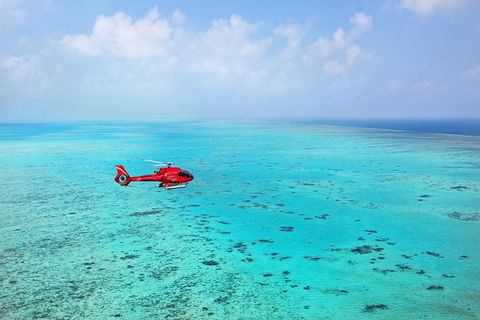 Helicopter And Cruise Packages From Port Douglas - Kempsey Accommodation 1