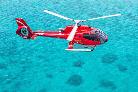 Helicopter And Cruise Packages From Port Douglas - Kempsey Accommodation 5