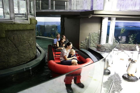 Sydney Attractions Pass: SEA LIFE Aquarium, Sydney Tower Eye, WILD LIFE Zoo And Madame Tussauds - Kempsey Accommodation 0