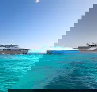 Fremantle to Rottnest Island Roundtrip Ferry Ticket - Kempsey Accommodation