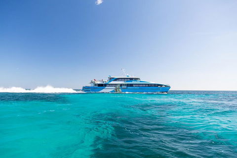 Fremantle To Rottnest Island Roundtrip Ferry Ticket - Kempsey Accommodation 0