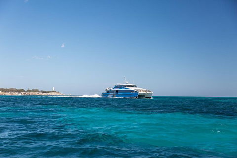 Fremantle To Rottnest Island Roundtrip Ferry Ticket - Kempsey Accommodation 5