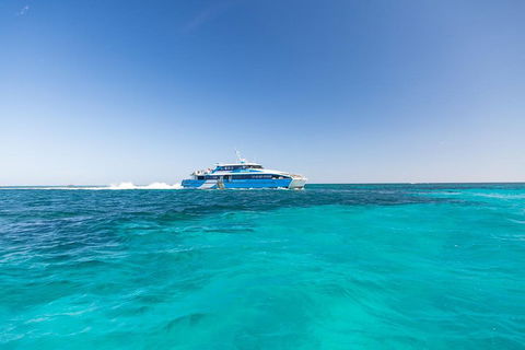 Rottnest Island Bike & Ferry Package From Fremantle - Kempsey Accommodation 0