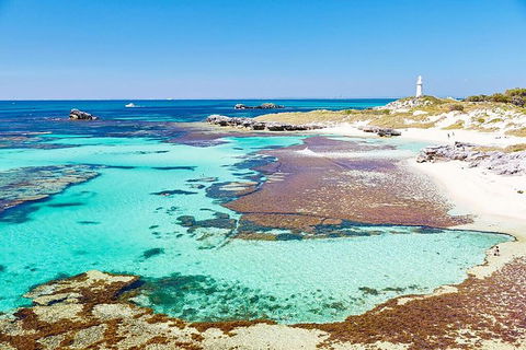 Perth To Rottnest Island Roundtrip Ferry Ticket - Kempsey Accommodation 2