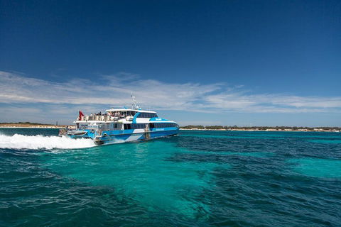 Perth To Rottnest Island Roundtrip Ferry Ticket - Kempsey Accommodation 4