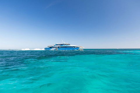 Rottnest Island Bayseeker Day Trip From Perth - Kempsey Accommodation 0