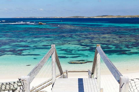 Rottnest Island Bayseeker Day Trip From Perth - Kempsey Accommodation 3