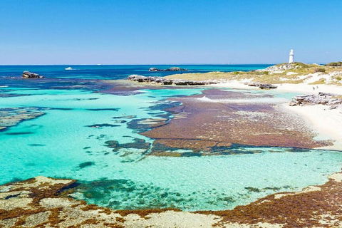 Rottnest Island Bayseeker Day Trip From Perth - Kempsey Accommodation 4