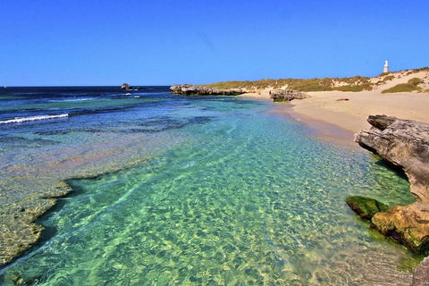 Rottnest Island Bayseeker Day Trip From Perth - Kempsey Accommodation 5