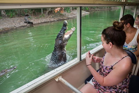 Hartley's Crocodile Adventures Day Trip From Cairns - Kempsey Accommodation 3