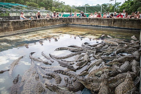 Hartley's Crocodile Adventures Day Trip From Palm Cove - Kempsey Accommodation 0