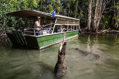 Hartley's Crocodile Adventures Day Trip From Palm Cove - Kempsey Accommodation 2