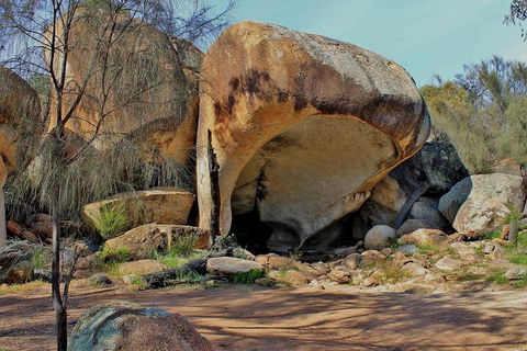 Wave Rock Half Day Air & Ground Tour - Kempsey Accommodation 1