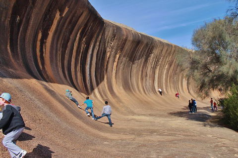 Wave Rock Half Day Air & Ground Tour - Kempsey Accommodation 2
