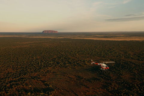 Helicopter Scenic: Lizard Safari - Kempsey Accommodation 4