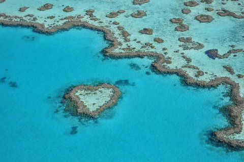 Reef And Island Scenic Flight From Airlie Beach - Kempsey Accommodation 5