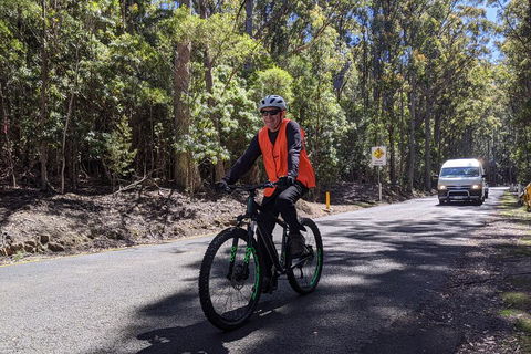 Mount Wellington Descent Cycling Tour Departs Hobart - Kempsey Accommodation 3