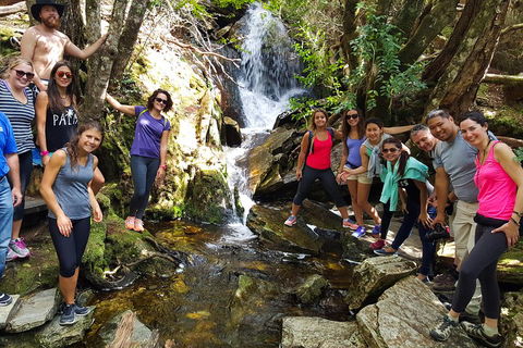 7-Day Super Value Tour Of Tasmania: Explore Tasmania's West And East Coasts - Kempsey Accommodation 2