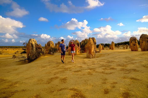 Half Day Pinnacles Sunset Tour - Kempsey Accommodation 1
