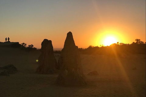 Half Day Pinnacles Sunset Tour - Kempsey Accommodation 3