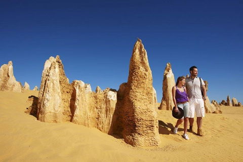 Half Day Pinnacles Sunset Tour - Kempsey Accommodation 4