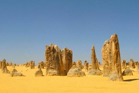 Half Day Pinnacles Sunset Tour - Kempsey Accommodation 5
