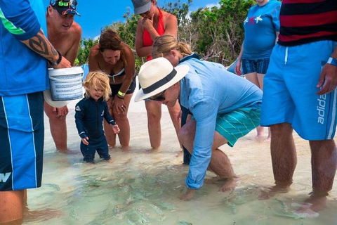 Whitehaven Beach And Hamilton Island Cruise - Kempsey Accommodation 1