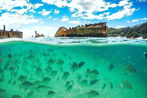 Adventure Moreton Island Day Pass - Kempsey Accommodation 4