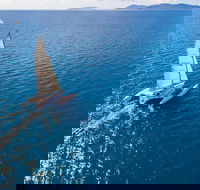 2-Night Whitsunday Islands Sailing Adventure on Trimaran Avatar - Kempsey Accommodation