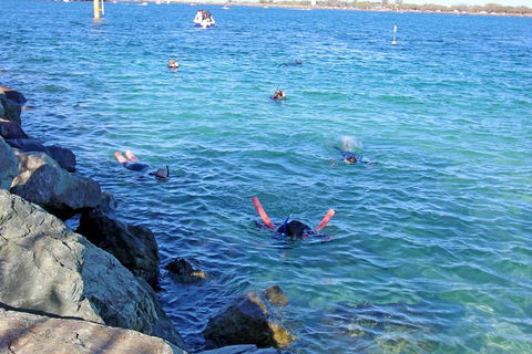 Wave Break Island Scuba Diving On The Gold Coast - Kempsey Accommodation 1