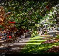 Fully Inclusive Blue Mountains Private Tour inc Scenic World  Featherdale entry - Kempsey Accommodation