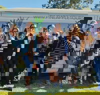 Full Day Mount Tamborine Winery Tour from Gold Coast - Kempsey Accommodation