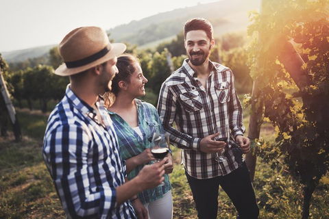 Full Day Mount Tamborine Winery Tour From Gold Coast - Kempsey Accommodation 5