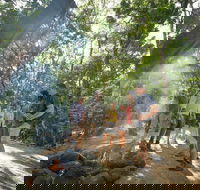 Mossman Gorge Adventure Day - Kempsey Accommodation