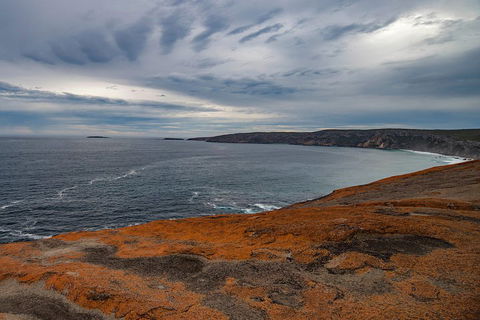 Kangaroo Island Luxury Small Group 'Flinders Chase Focus' Full Day Tour - Kempsey Accommodation 0