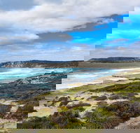 Kangaroo Island Luxury Small Group 'East End Explorer' Full Day Tour - Kempsey Accommodation