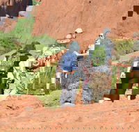 Afternoon Kata Tjuta Small Group Tour - Kempsey Accommodation