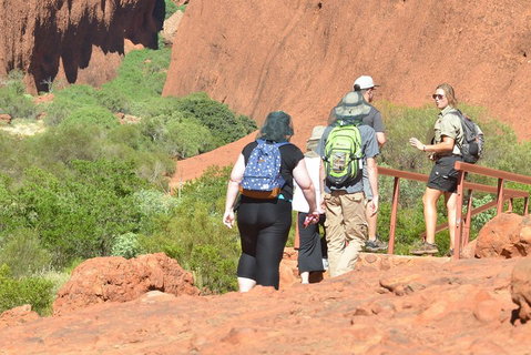 Afternoon Kata Tjuta Small Group Tour - Kempsey Accommodation 0