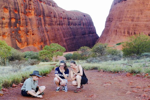 Afternoon Kata Tjuta Small Group Tour - Kempsey Accommodation 2