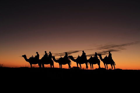 Uluru Small-Group Tour By Camel At Sunrise Or Sunset - Kempsey Accommodation 4